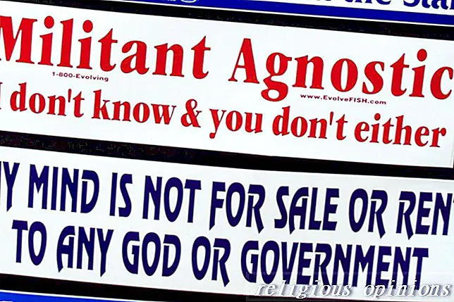 Agnostisisme vir beginners - basiese feite oor agnostisisme en agnostici-Ateïsme en Agnostisisme