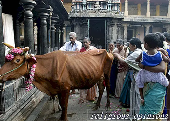 Pongal: o grande dia de ação de graças indiano-Hinduísmo