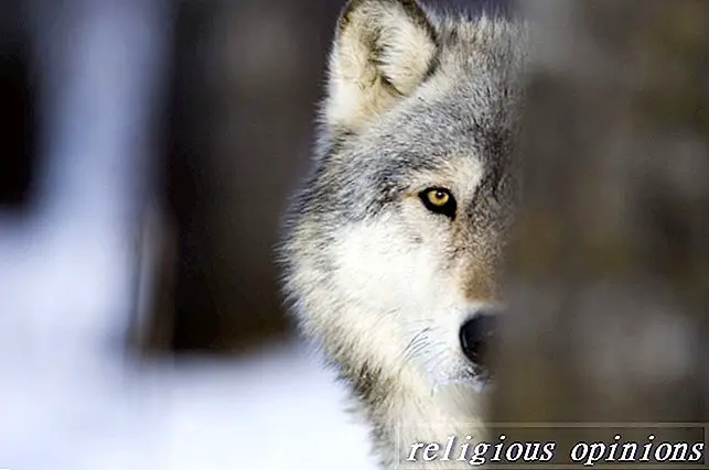 Spirit Wolf-New Age / Metaphysical