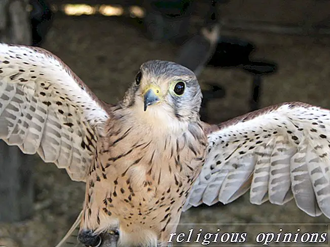 होम्योपैथिक पक्षी उपचार के लाभ-नई आयु / धातु