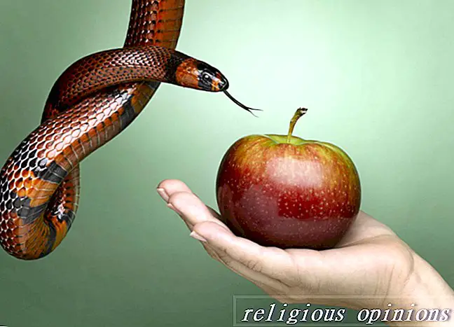 New Age / Метафізичний - Що це означає, коли мрієте про змій?