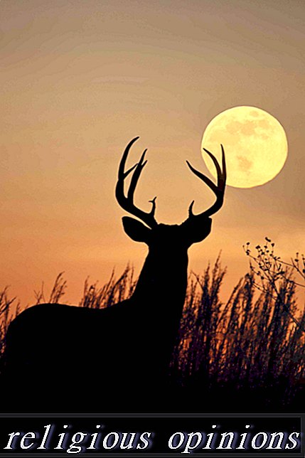 Hjortens symbolik-Paganism och Wicca