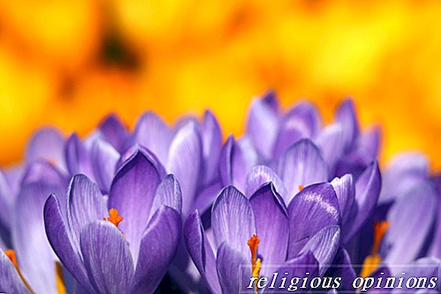 Jak korzystać z wiosennych kwiatów w magii-Pogaństwo i Wicca