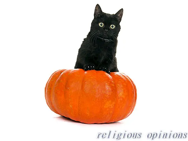Kucing hitam-Paganisme dan Wicca