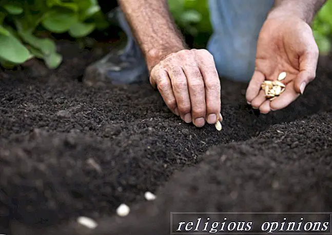 Beltane Planting Ritual para sa mga Solitaryo-Paganism at Wicca