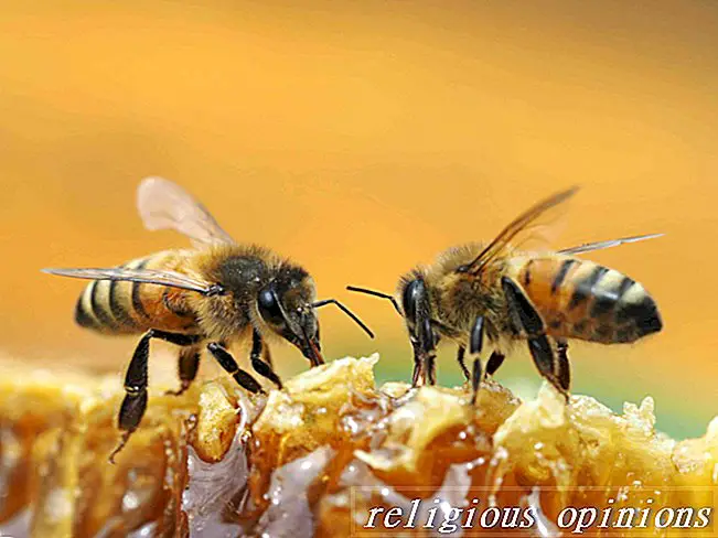 أساطير وتقاليد النحل-الوثنية واليكا