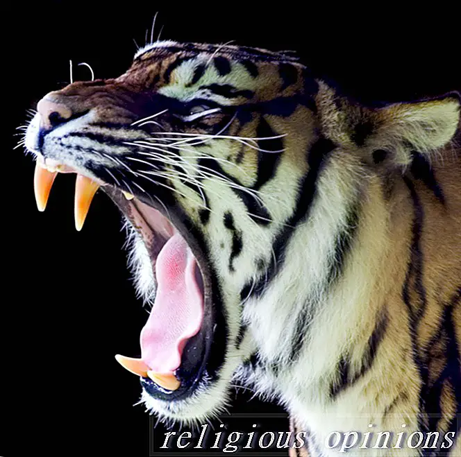 Рот тигра - Ху Коу-Даосизм